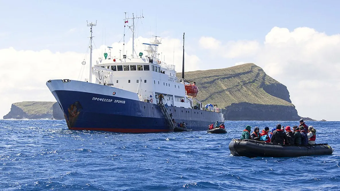 Профессор Хромов