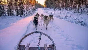 Ботнический залив: ворота в Арктику