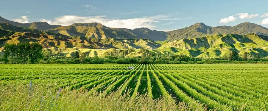 Новая Зеландия Scenic Eclipse II 21.02.2026 - 05.03.2026