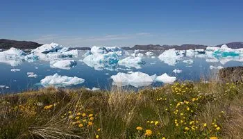 Ледяная экспедиция с National Geographic
