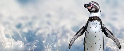 Древние королевства и природные сокровища: из Чили в Панаму